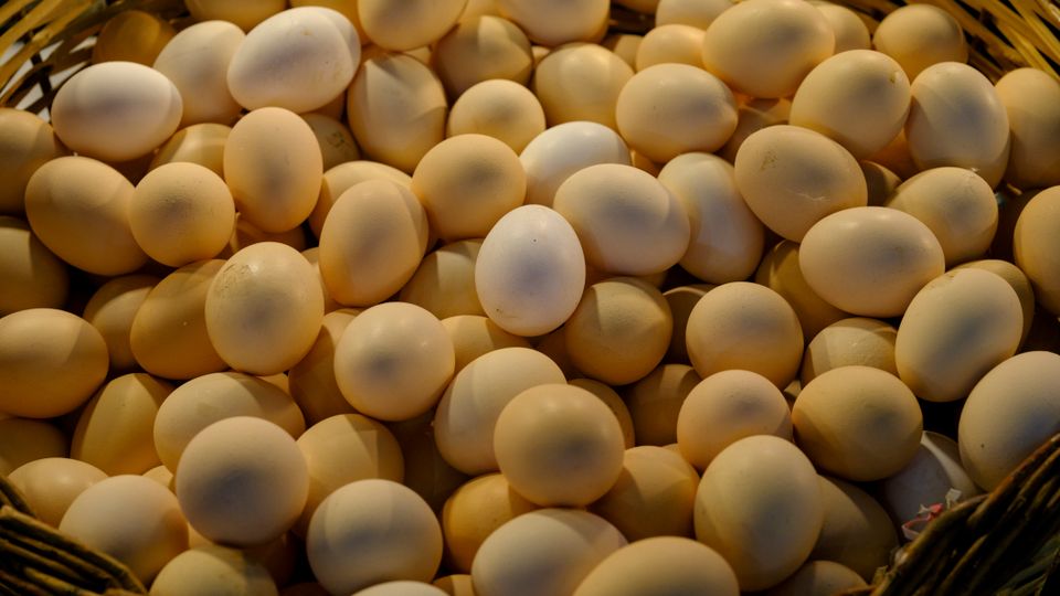 Farm eggs for sale at a market stall
