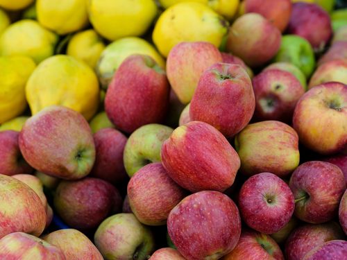 Free A colorful assortment of fresh apples and citrus fruits at a market, showcasing natural abundance. Stock Photo
