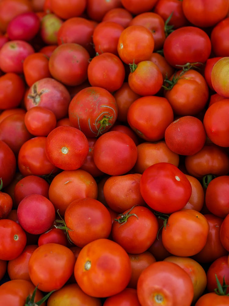 Close-Up Shot Of Fresh Tomatoes