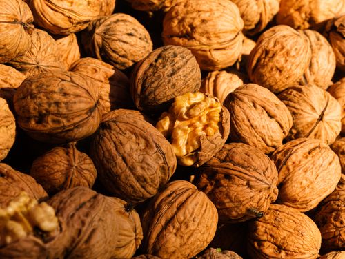 Free High-quality image of fresh, unshelled walnuts showcasing their natural texture and detailed close-up view. Stock Photo
