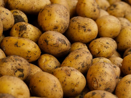 Foto profissional grátis de abundância, batatas, fechar-se