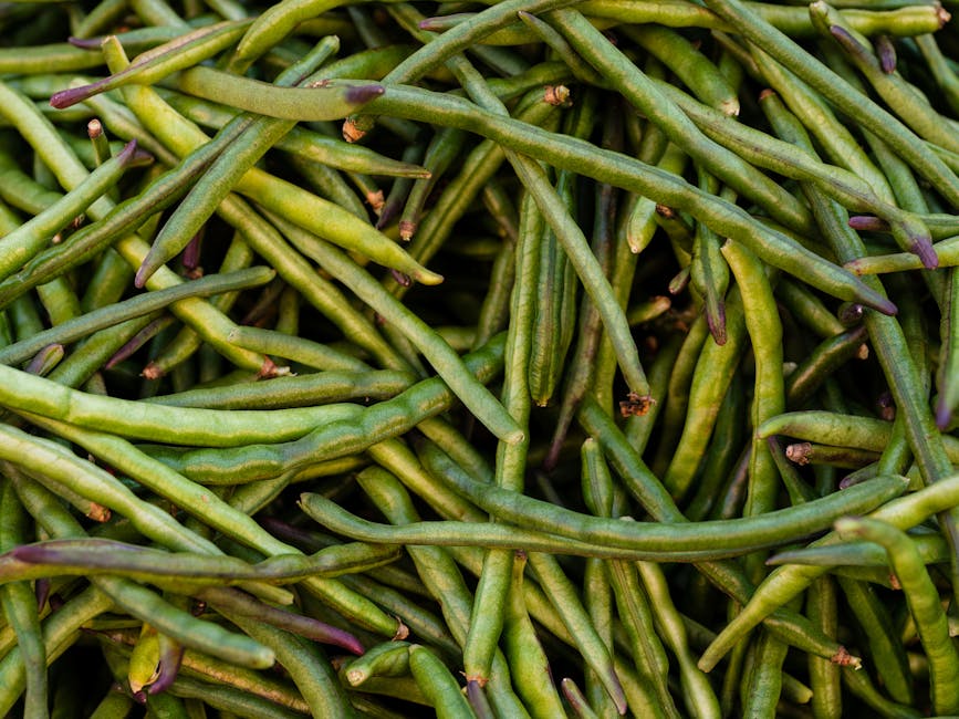 A detailed view of fresh, organic green beans, perfect for healthy and nutritious meals.