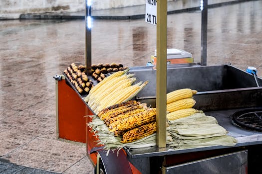 Grilled corn and chestnuts on a street cart in İstanbul. Perfect for urban street food themes.