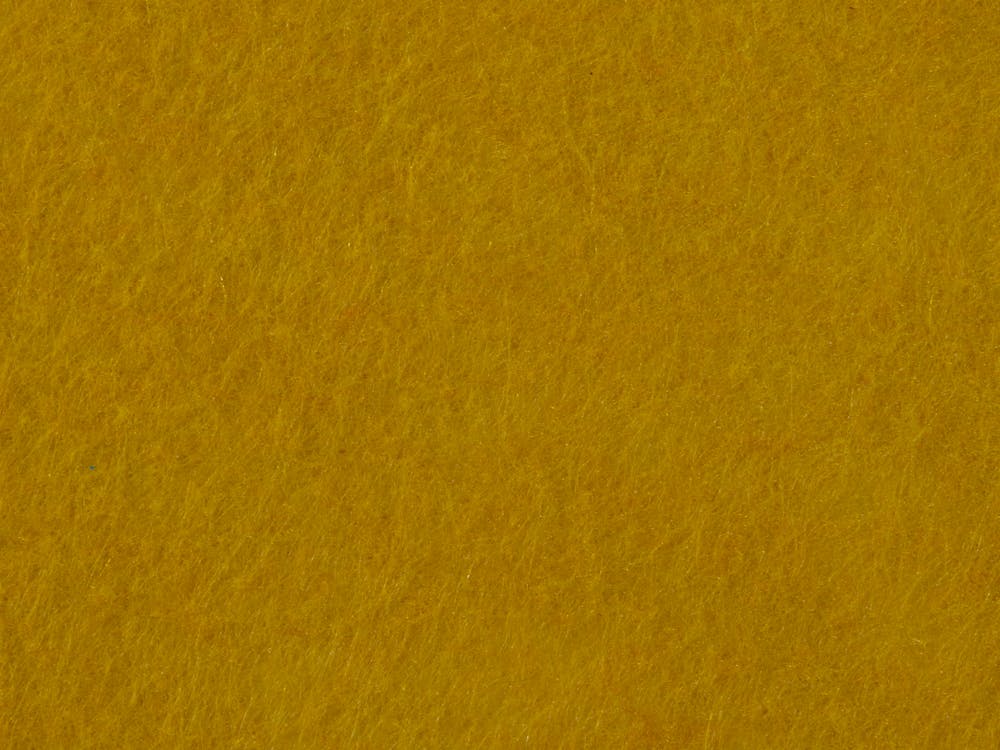 Fotos de stock gratuitas de amarillo, de cerca, fondo de pantalla