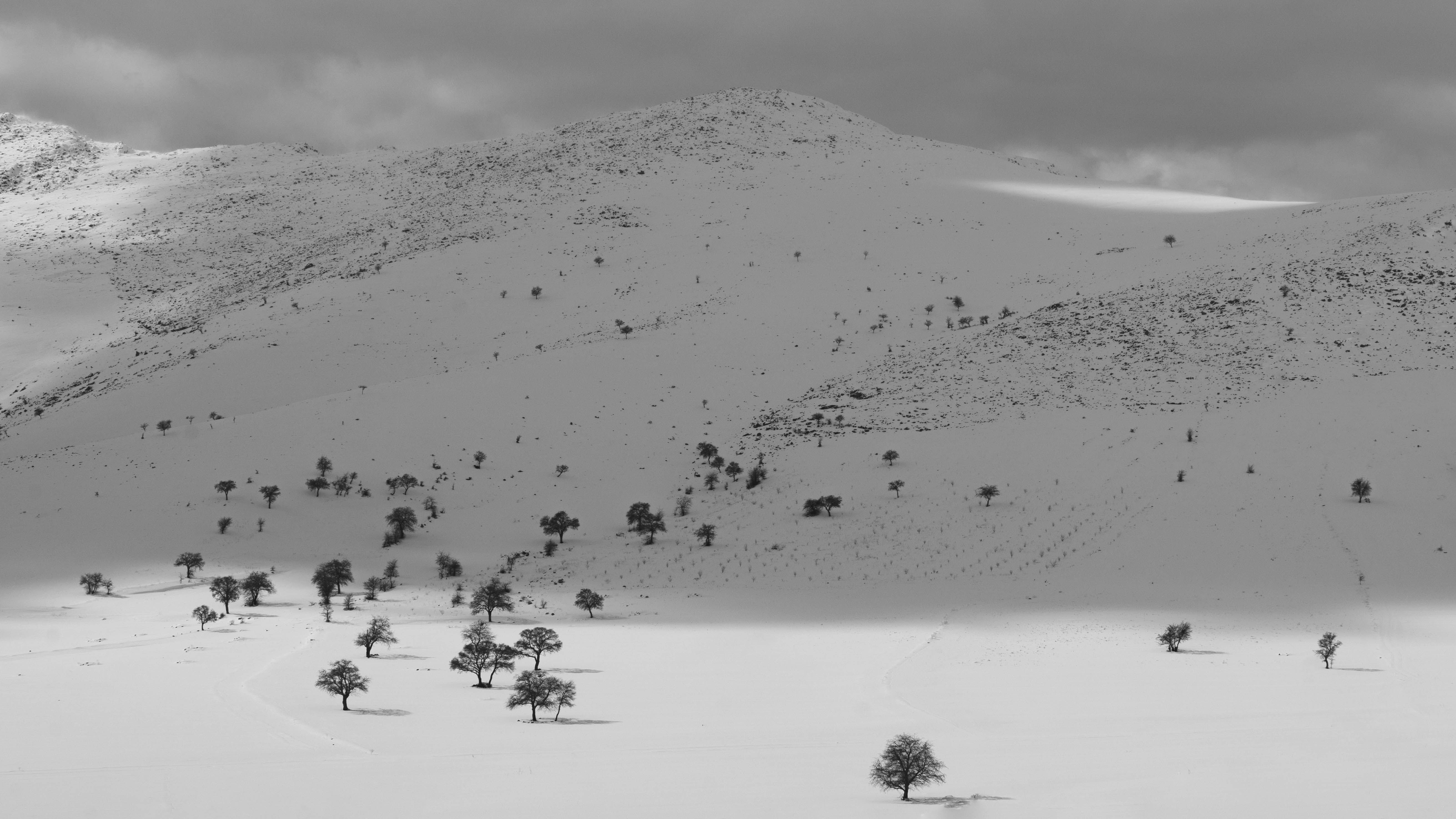 Black and White Photo of a Winter Landscape · Free Stock Photo