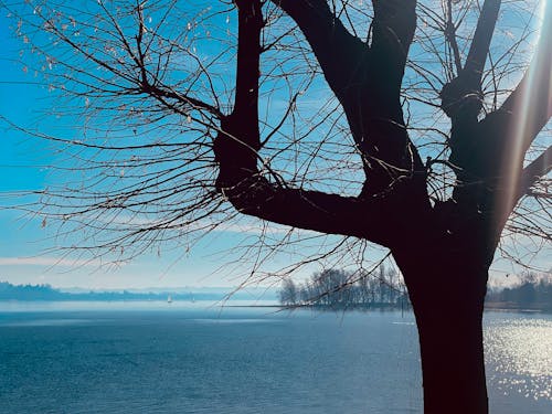 Бесплатное стоковое фото с city_skyline, голубое небо, городское небо