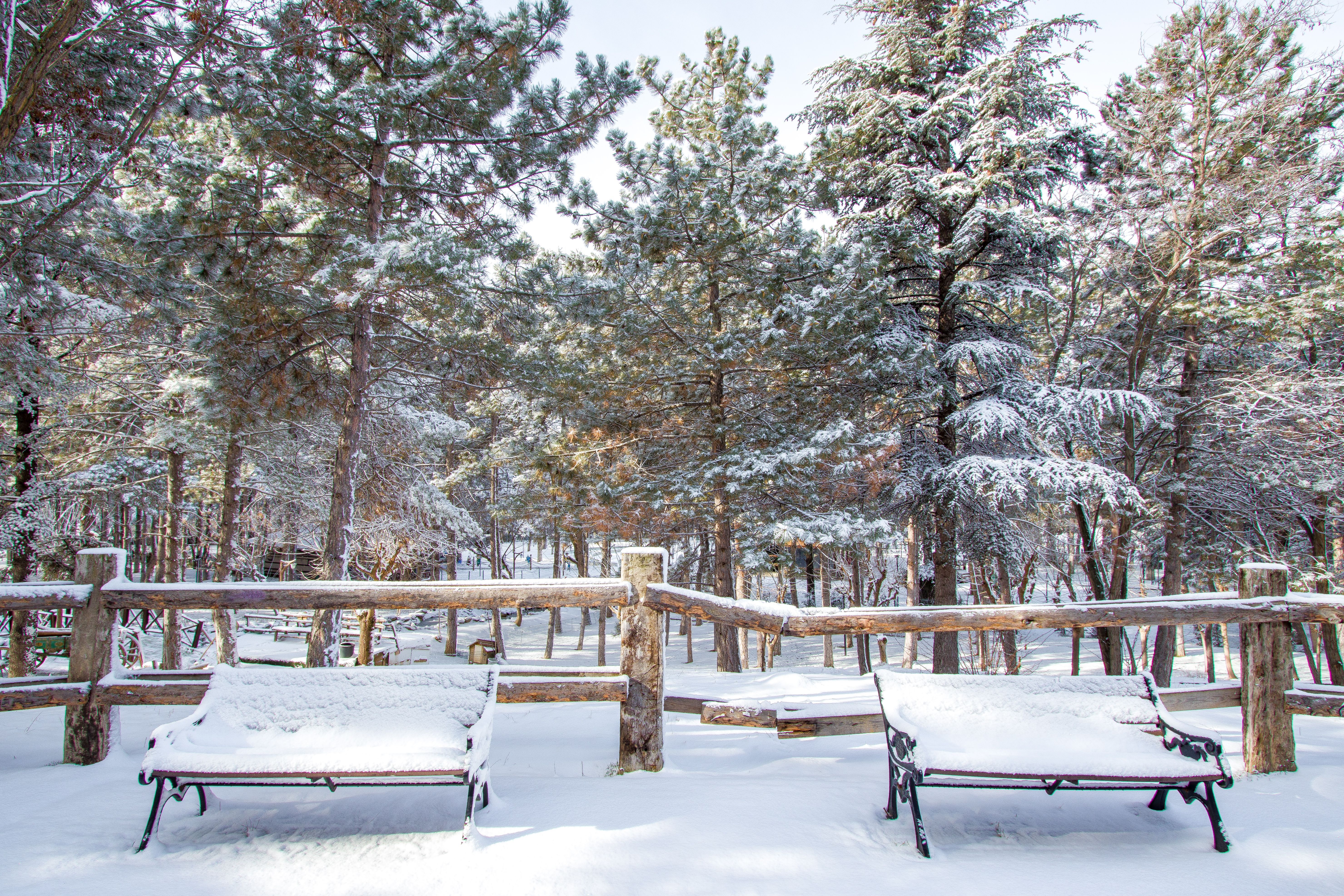 Ifrane