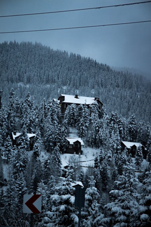 Houses on Mountain in Winter