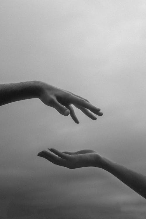 Couple Hands in Black and White