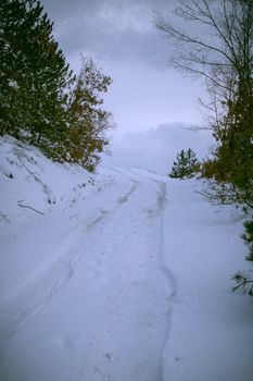 A serene winter scene shows a snow-covered road surrounded by trees under a cloudy sky in Türkiye.