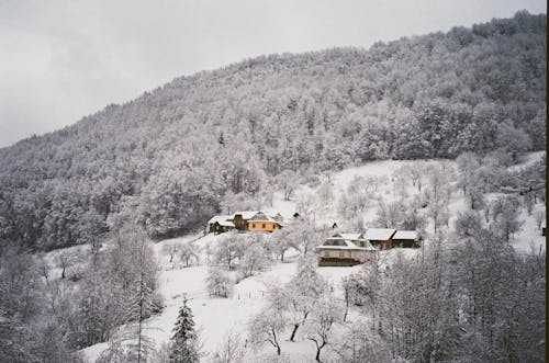 Scenic View of a Mountain Landscape