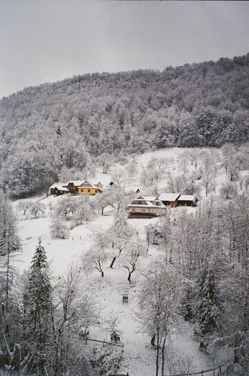 Scenic Winter Landscape of a Mountain