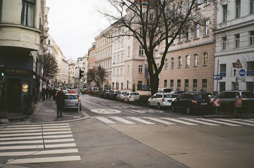 Cars Parked Along City Street