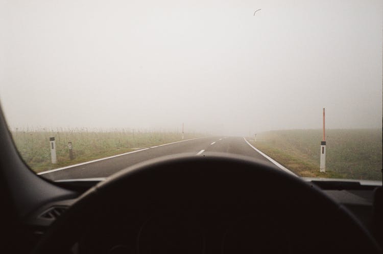 Driving In Foggy Day