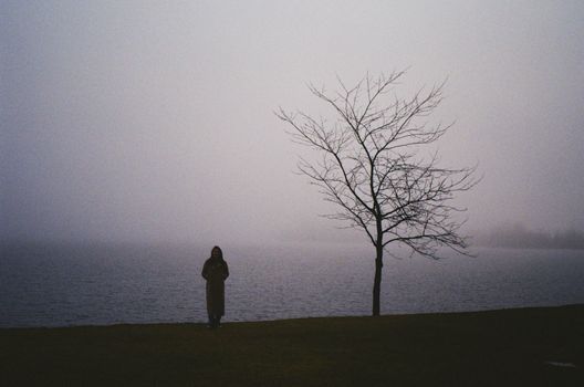 Silhouette of Person Next to Bare Tree on Seashore