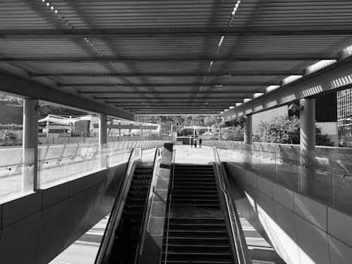 Steps and Escalator on a Station 