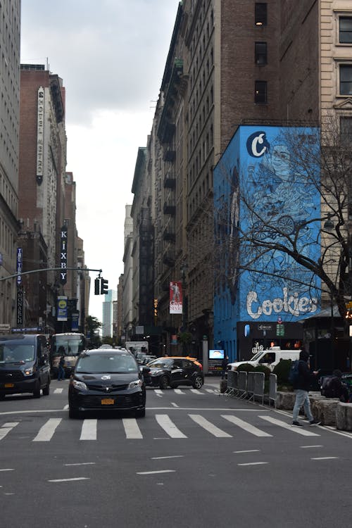 Fotobanka s bezplatnými fotkami na tému Manhattan, mesto New York