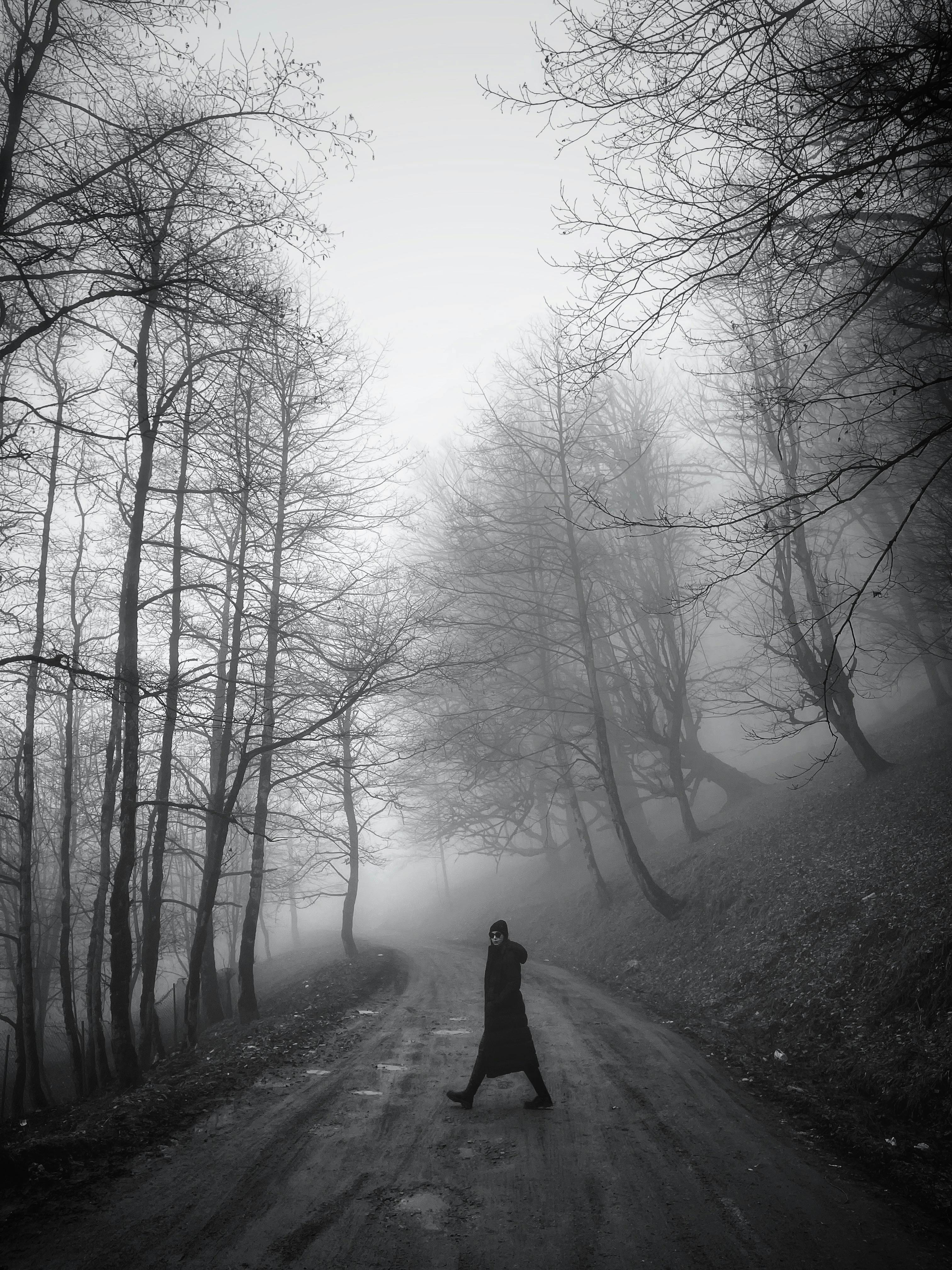 Greyscale Photography of Person Walking Between Trees · Free Stock Photo