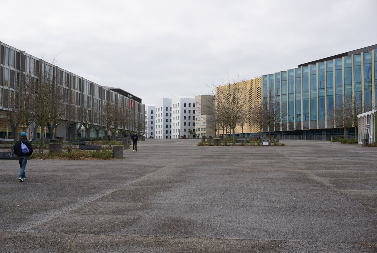 Student removals Forest Hill — removals work in progress