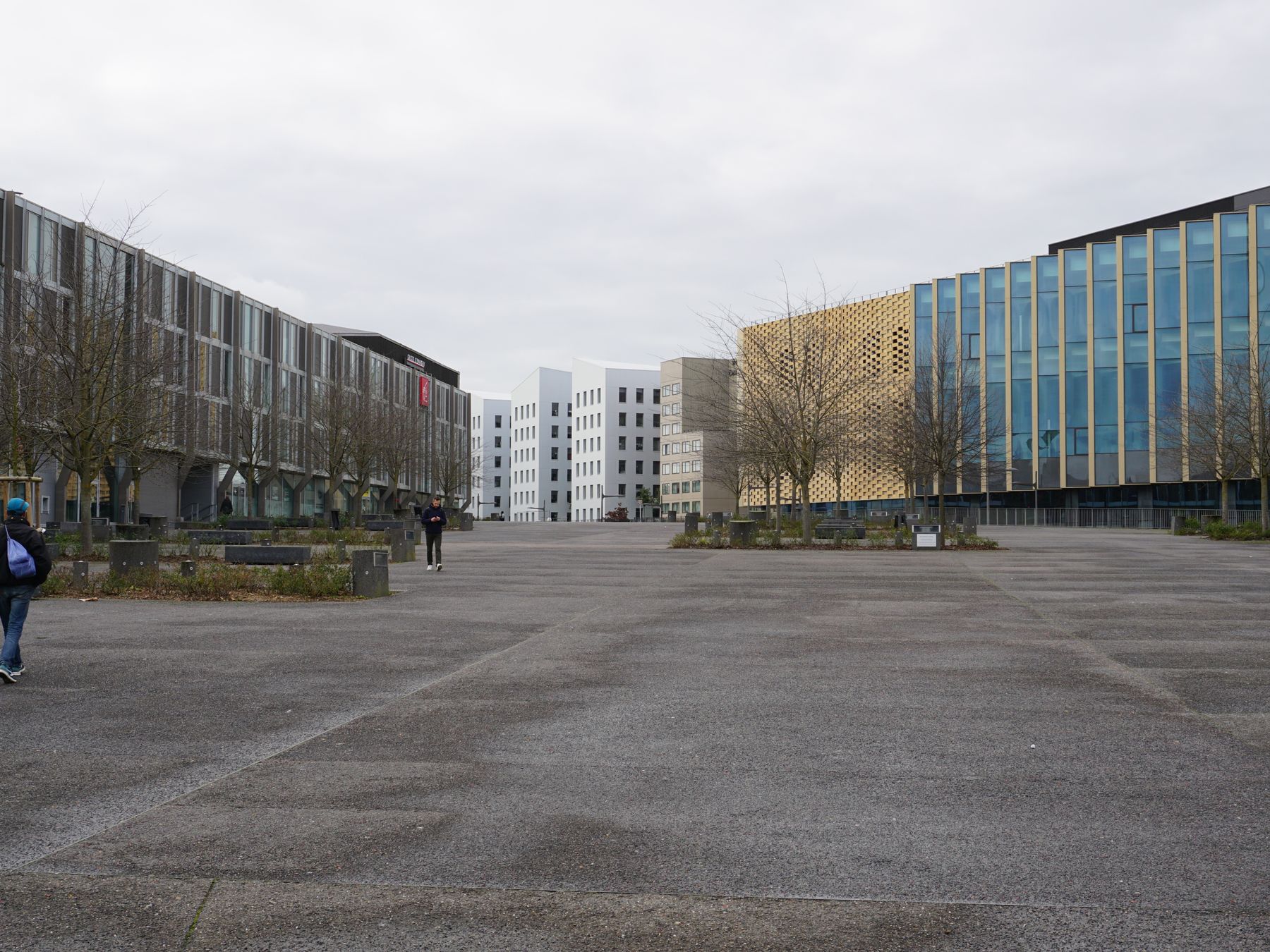 Winterbourne Abbas — student move with boxes and a van