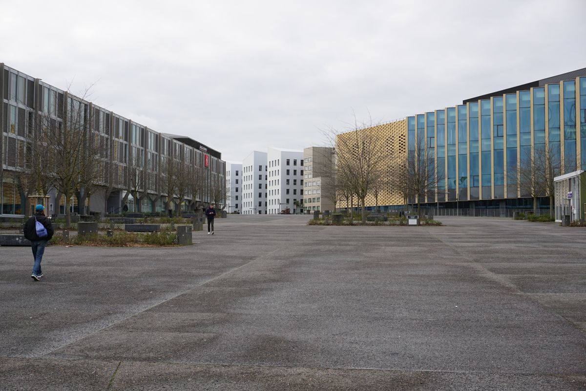 student moves in Woodmansterne — Student Moves in Woodmansterne — the working end of the job
