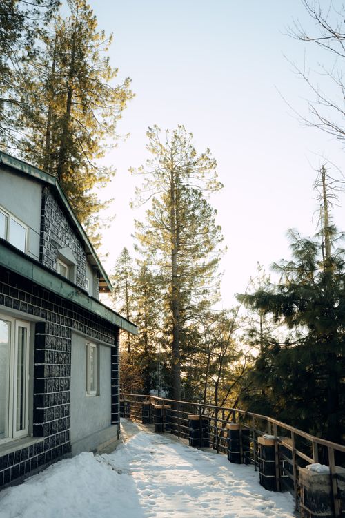 Free Peaceful winter scene of snowy trees and house in Nathia Gali, Pakistan. Stock Photo