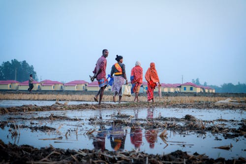 Foto stok gratis bangun, basah, Desa