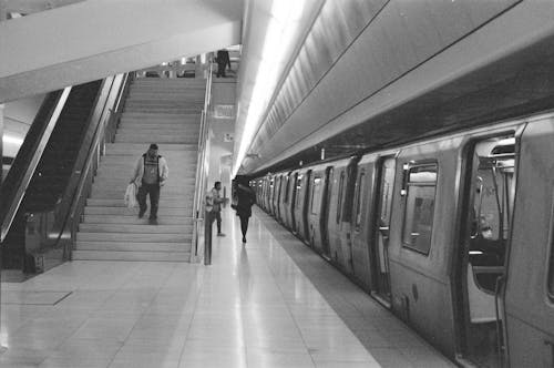 Fotos de stock gratuitas de andén de metro, blanco y negro, ciudad