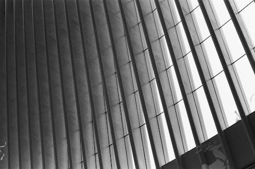 Fotos de stock gratuitas de arquitectura, blanco y negro, calatrava