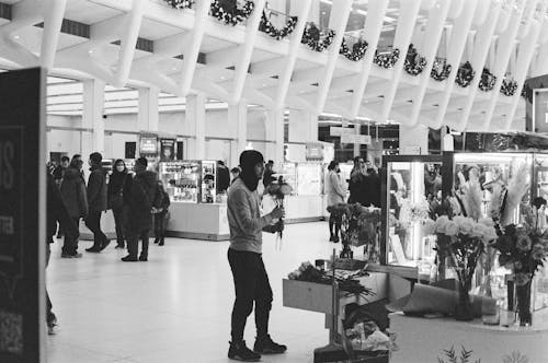 Fotos de stock gratuitas de blanco y negro, flores en florero, Minolta