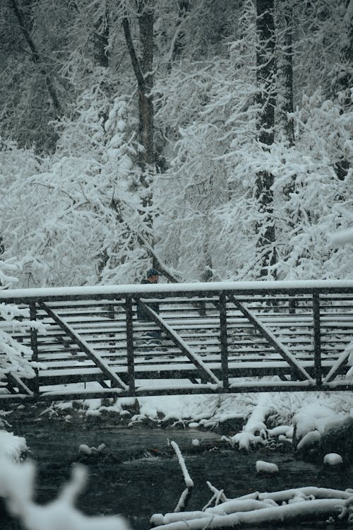 Fotobanka s bezplatnými fotkami na tému chladný, lávka, lávky