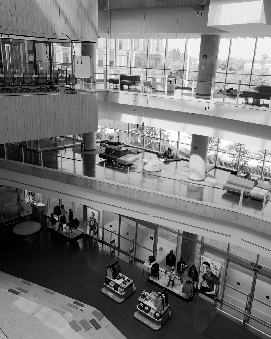 Studenți români lansează o platformă la nivel UE pentru oportunități de internship