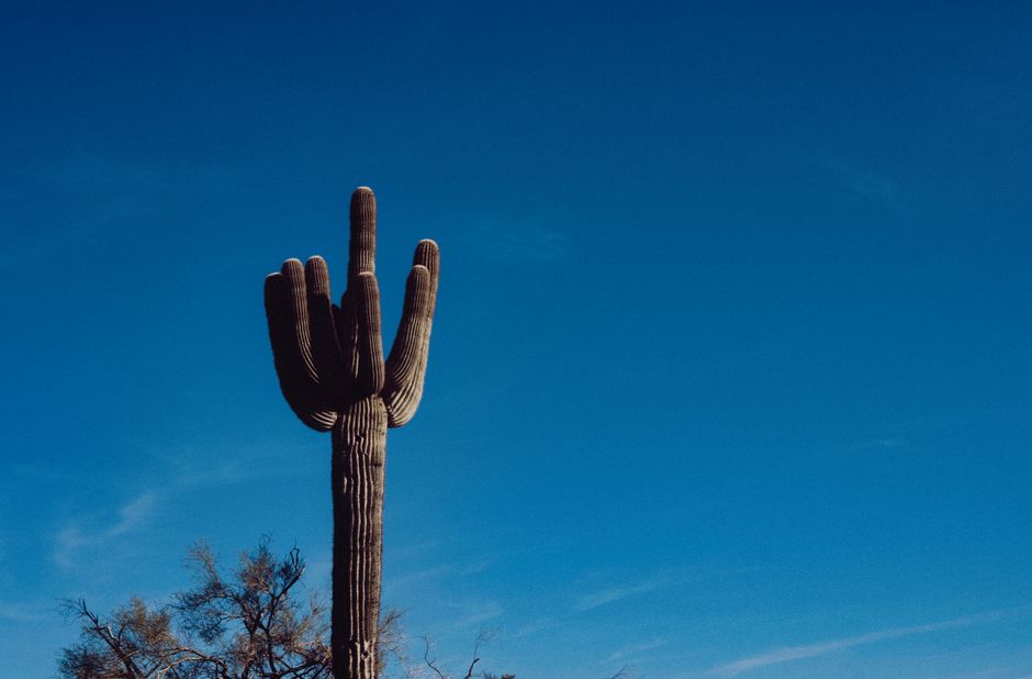 Stanton Builds Financial Edge as Arizona's 4th District Race Takes Shape