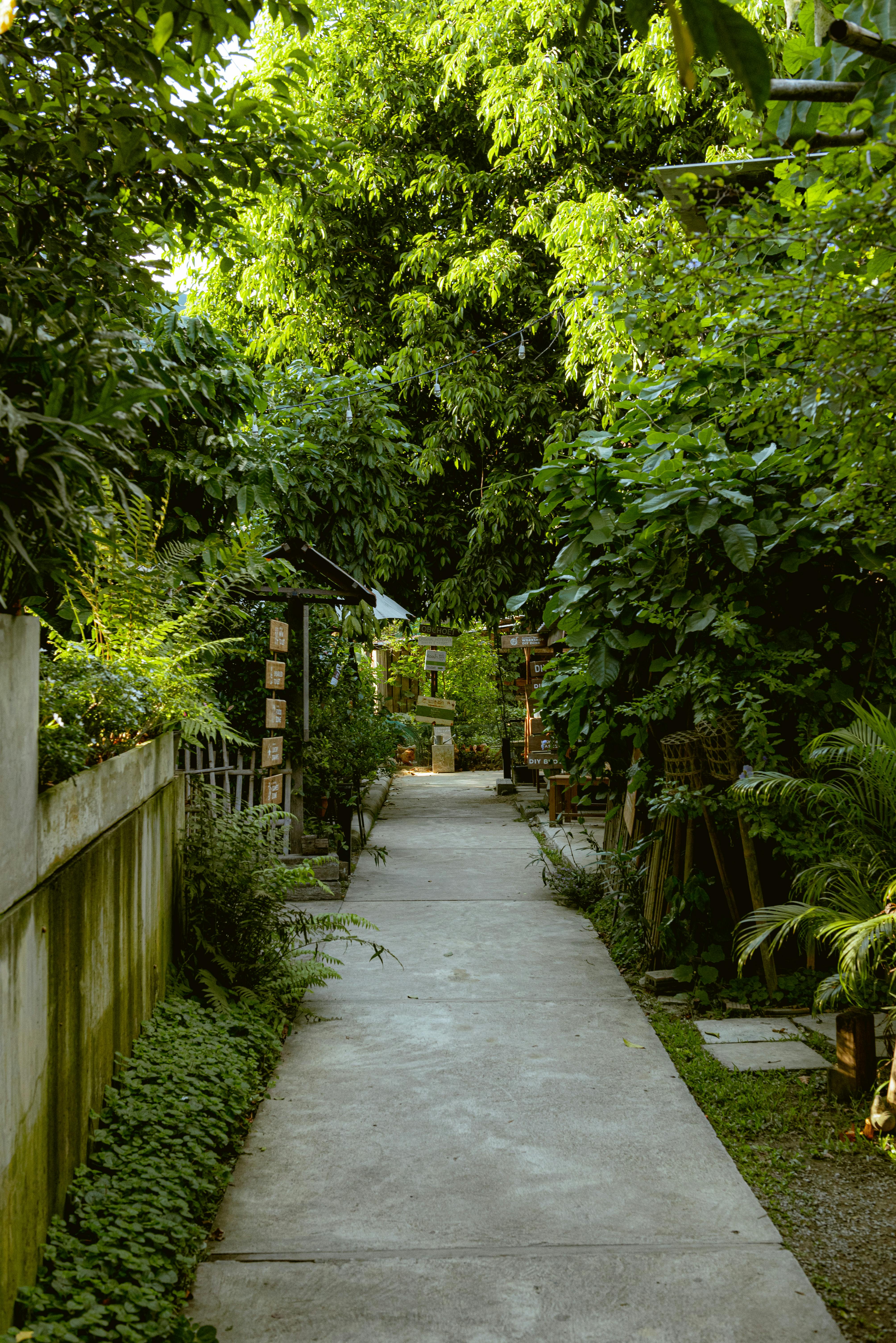 למה לבחור צימרים עם גינה ירוקה מרווחת?