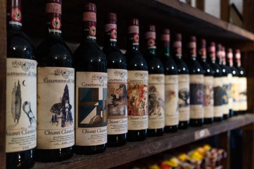Chianti wine day with a sommelier — Florence
