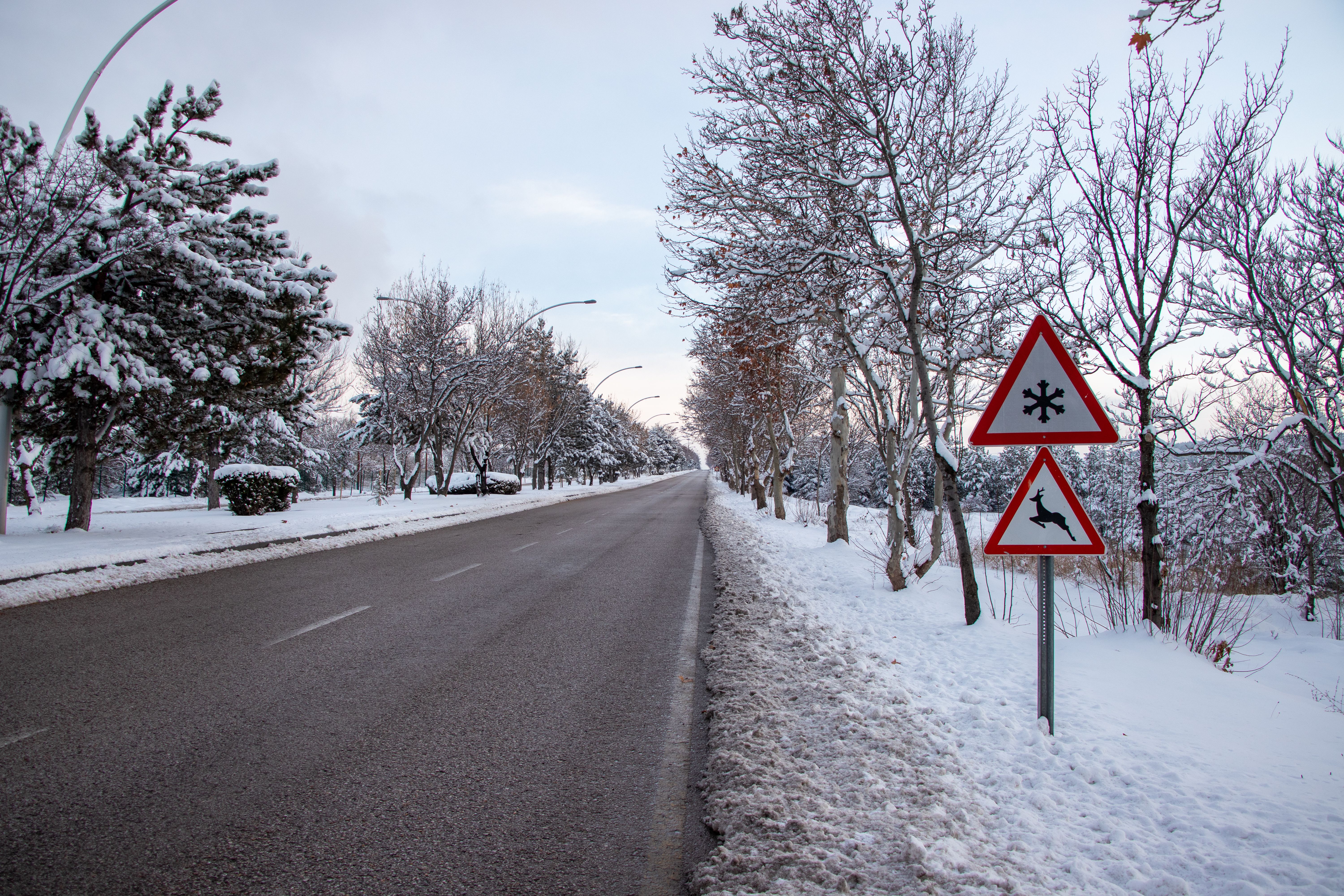 Wind Chill Warning: How This Winter's Brutal Cold Could Impact Your Health and Safety