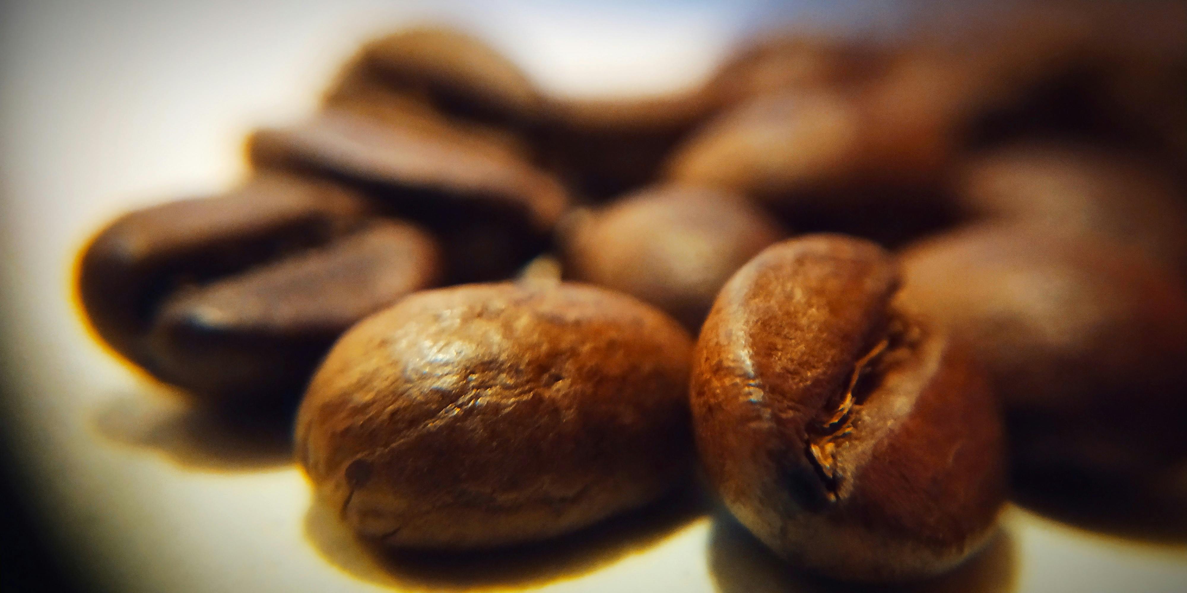 Free stock photo of #cofee bean, #cofee bee, #coffee beans