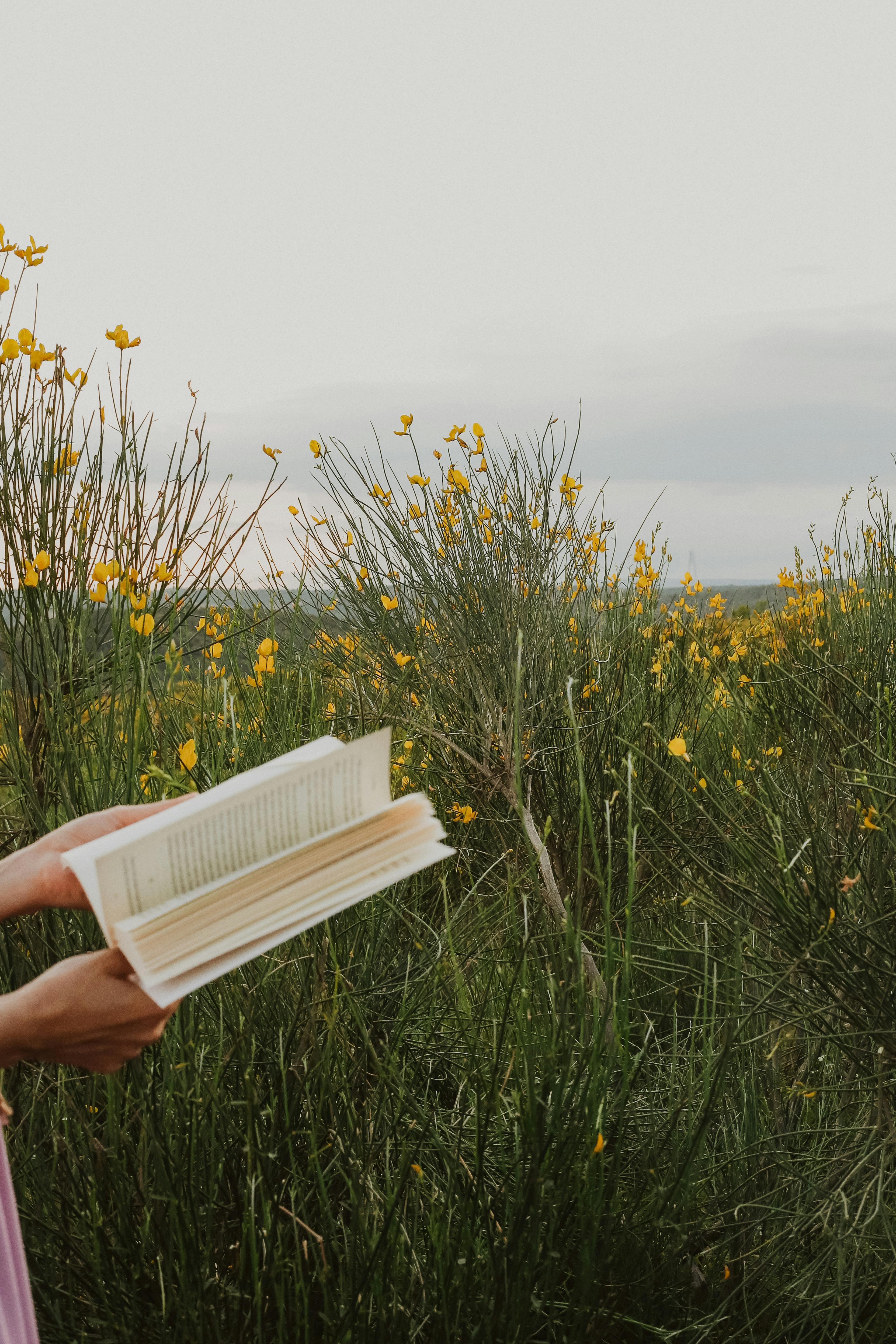 A person reading a book amidst blooming wildflowers in Istanbul, Turkey.