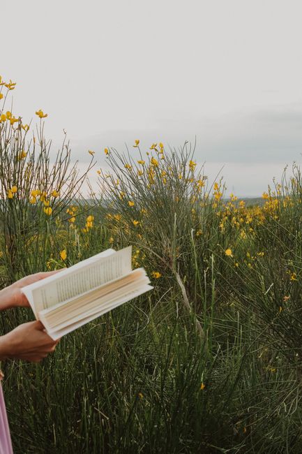 A person reading a book amidst blooming wildflowers in Istanbul, Turkey.