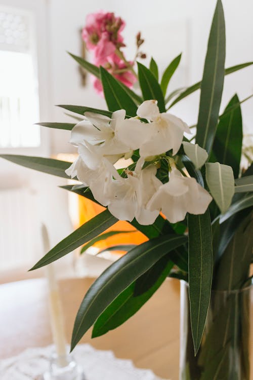 Close-up of Flowers in a Vase 