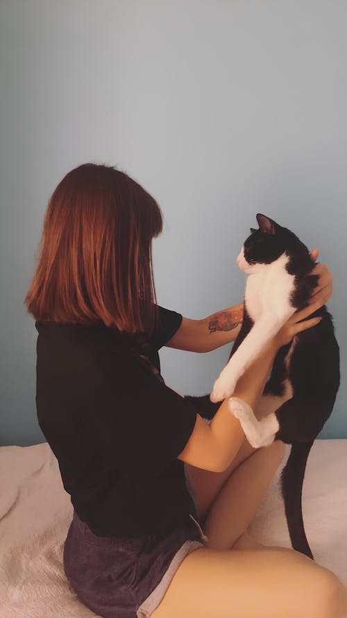Free stock photo of cat, cat lover, female mannequin
