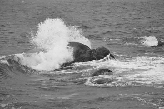 Vague sur les rochers .