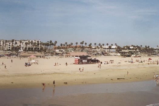 Bright beach scene with palm trees, people, and distant buildings. Perfect for summer travel vibes.