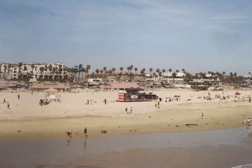 Free Bright beach scene with palm trees, people, and distant buildings. Perfect for summer travel vibes. Stock Photo