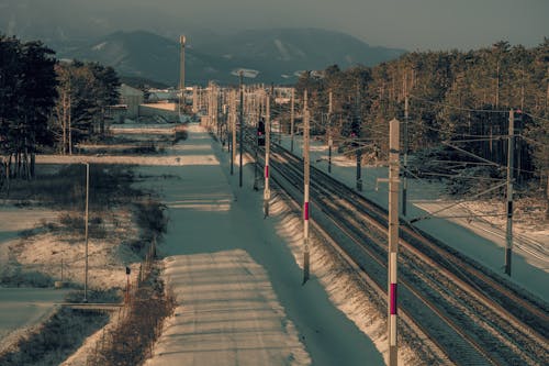 Бесплатное стоковое фото с деревья, железная дорога, зима