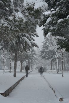 Two people walk through a snow-covered park path surrounded by frosty trees.
