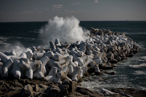 Základová fotografie zdarma na téma mávat, moře, pobřeží