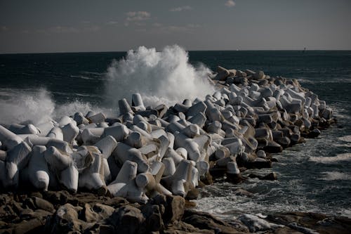 Základová fotografie zdarma na téma mávání, moře, pobřeží