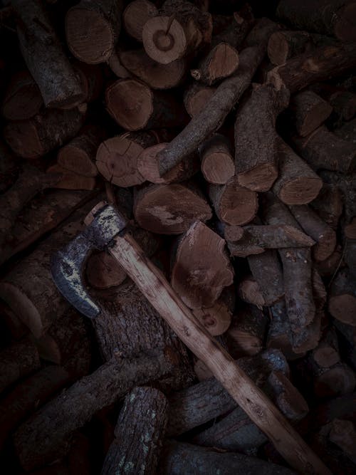 Free stock photo of axe, bushcraft, chopped woods