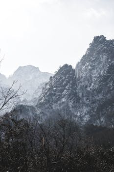 Captivating view of snow-capped mountains and bare trees in winter, perfect for nature lovers.